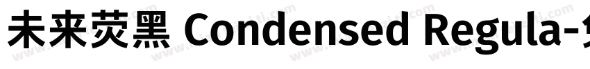未来荧黑 Condensed Regula字体转换